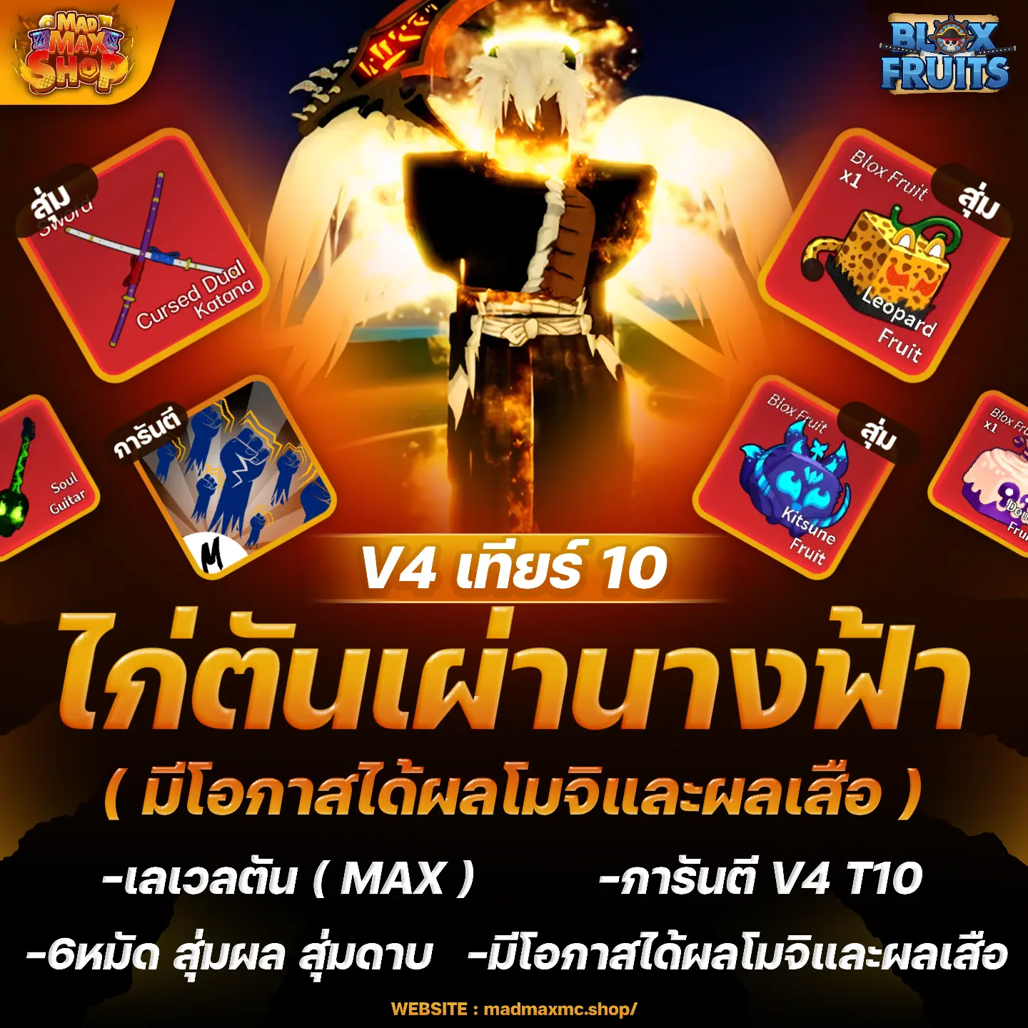 ไก่ตันเผ่านางฟ้า V4 T10